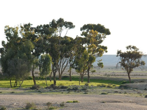 גלבוע גולן - מורה דרך